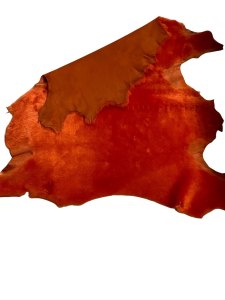 Sau/lam Merino - Orange