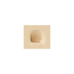 PUNSEL B 197 TW