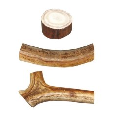 Reinsdyrhorn