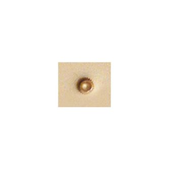PUNSEL S 724